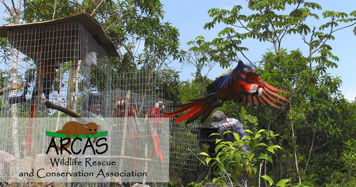 ARCAS