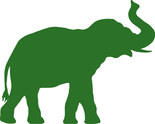 Big Life Foundation