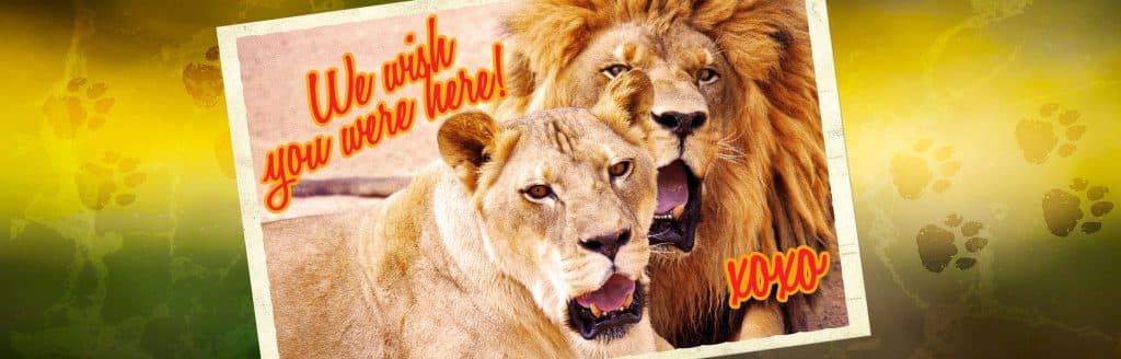 The Lion Habitat Ranch