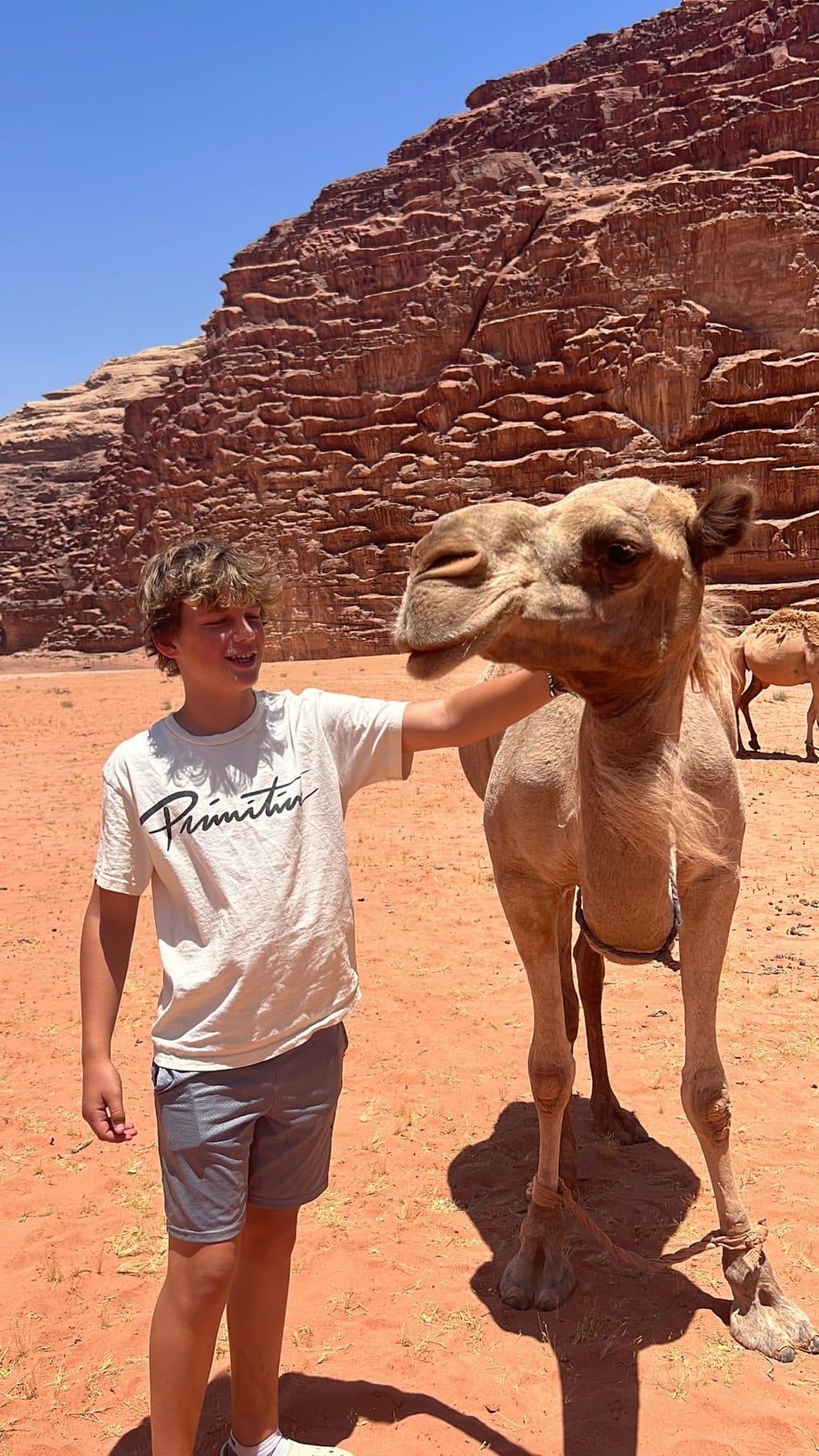 Meeting a camel in Wadi Rum, Jordan