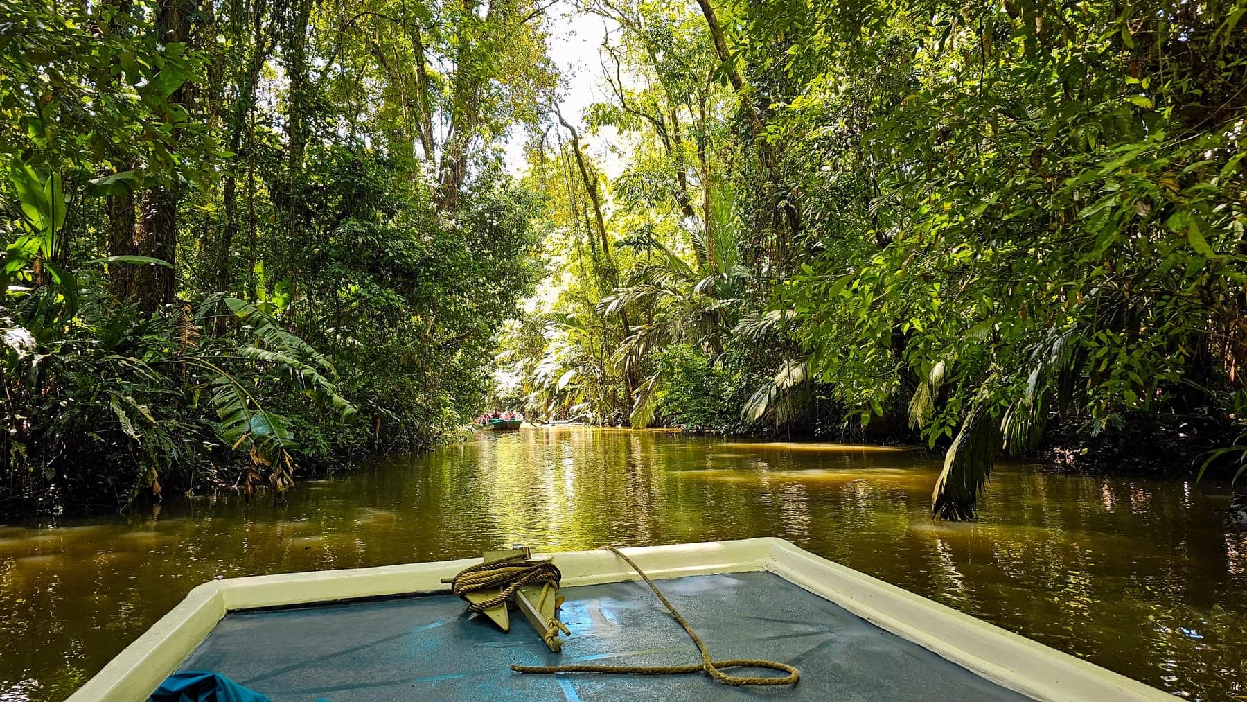 A canal through the rainforest at Tortuguero National Park, Costa Rica